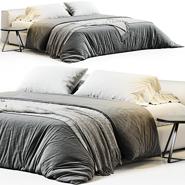 Contemporary Cappellini Superoblong Bed 3D model image 1 