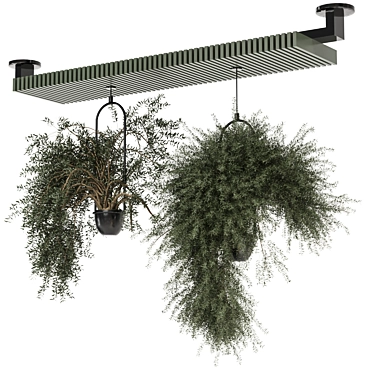 Modern Metal Box Hanging Plants 3D model image 1 