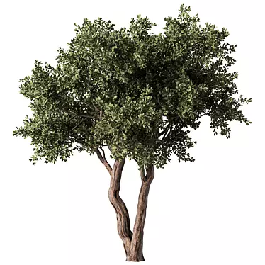  Modern 3D Tree Model 3D model image 1 