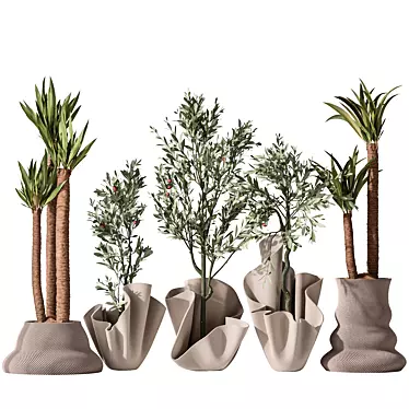 3D Yucca Gigantea Olive Trees 3D model image 1 