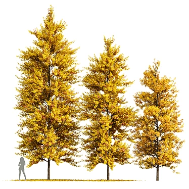 Autumn Ginkgo 3D Tree Models 3D model image 1 