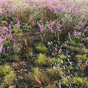 Corona Scatter Meadow Scene Kit 3D model image 1 