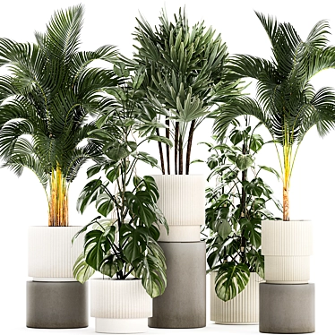 Tropical Plant Collection in Modern White Pots 3D model image 1 