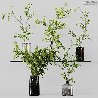 Diverse Indoor Plant Collection 3D model image 1 