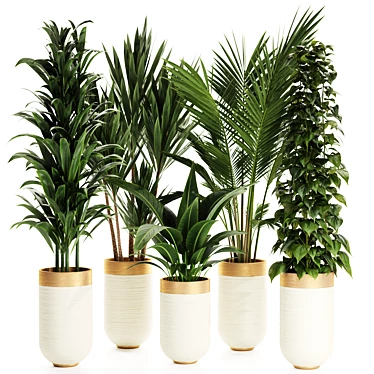 Premium Indoor Plants Set 68 3D model image 1 