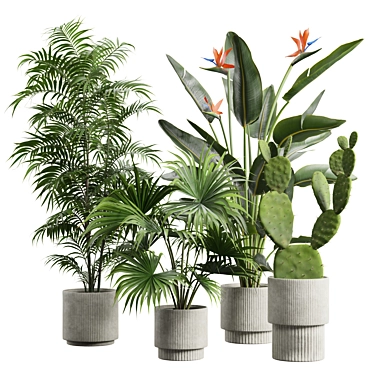 Exotic Indoor Plant Collection Pack 3D model image 1 