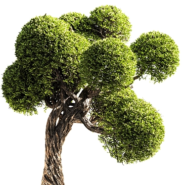 Elegant 3D Tree Render 3D model image 1 