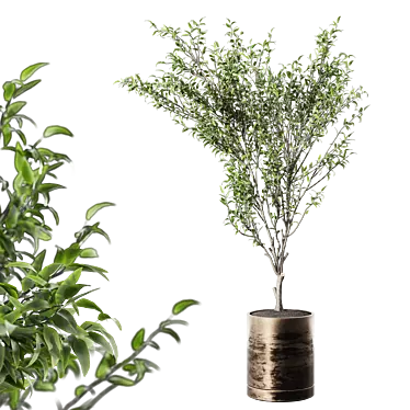 Modern Metal Potted Live Plant 3D model image 1 