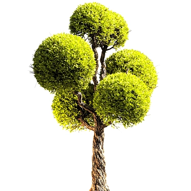 Elegant 3D Tree Rendering 3D model image 1 