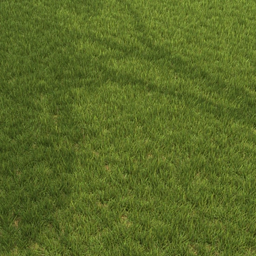 6 Varieties Grass Model 3D model image 1 