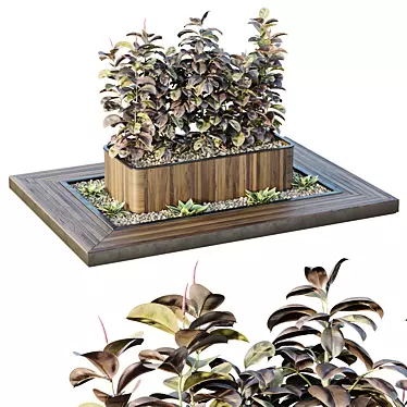 Tree and Bush Garden Box - 3D Models 3D model image 1 