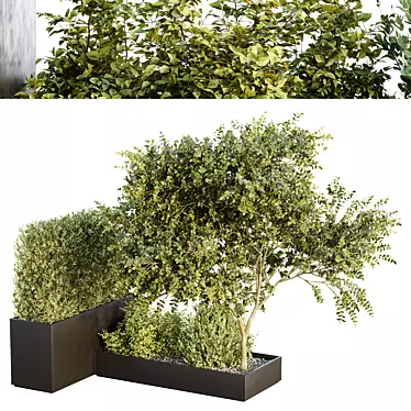 3D Tree Bush Garden Box: HQ VOL 34 3D model image 1 