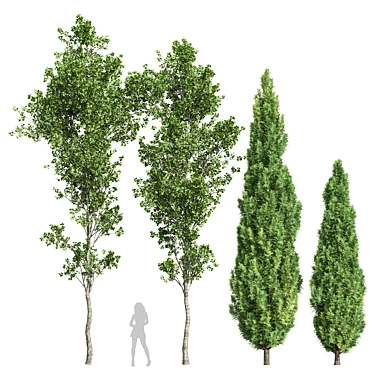 Mediterranean Tree Models Collection 3D model image 1 