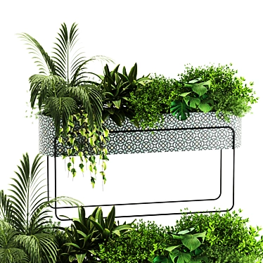 Lush Indoor Plants Box Set 3D model image 1 