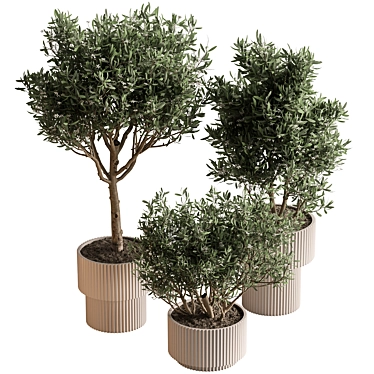 Potted Tree - Indoor Decor 3D model image 1 