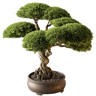 Miniature Bonsai Tree 639 3D model image 1 