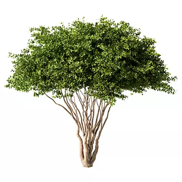 Modern Tree Sculpture No.68 3D model image 1 