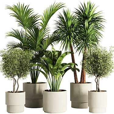 Modern Indoor Plant Set Collection 3D model image 1 