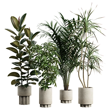  Indoor Plants Pack 60 Models 3D model image 1 