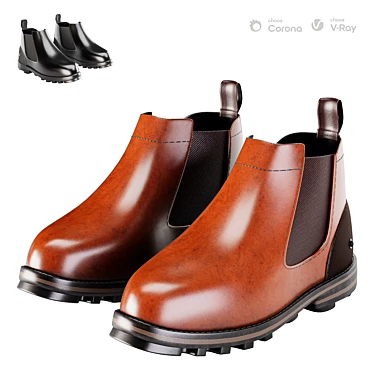 James Black & Brown Boots 3D model image 1 