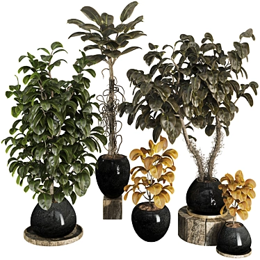 3D Plant & Decor Collection Mesh UV Unwrap 3D model image 1 