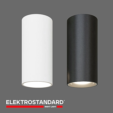 Elektrostandard Diffe Ceiling Spotlight 3D model image 1 