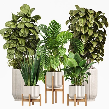 Modern Indoor Plants Set 029 3D model image 1 