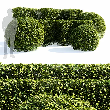 Aronia Melanocarpa Hedge Set 3D model image 1 