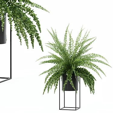 Modern Fern in Decorative Pot 3D model image 1 