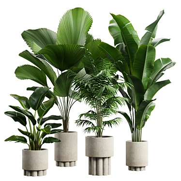 Exotic Indoor Plants Collection Pack 3D model image 1 