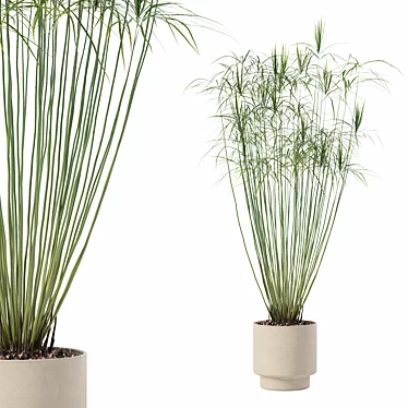 Modern Cyperus Papyrus Plant Pot 3D model image 1 