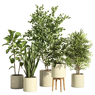 Potted Indoor Plant Set 66 3D model image 1 