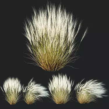 HQ Stipa Pony Tails Grass 3D model image 1 