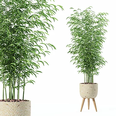  Modern Bamboo Plant in Pot 3D model image 1 