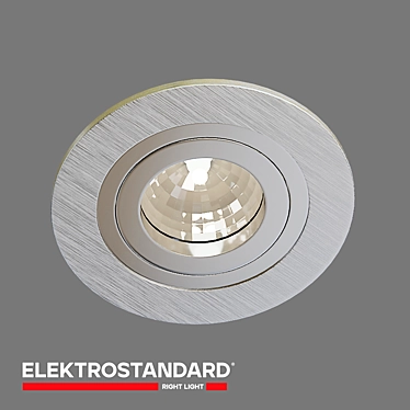 Elektrostandard Accent Ceiling Light 3D model image 1 