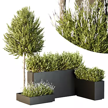 HQ Tree and bush garden box outdoor VOL 50