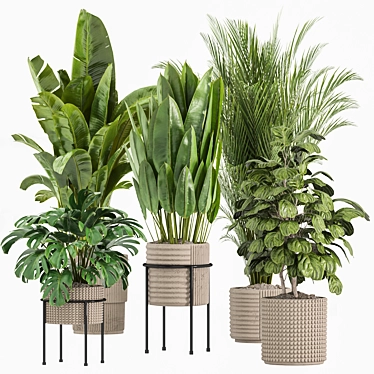 Modern Indoor Plant Set 026 3D model image 1 