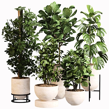 Modern Indoor Plant Set 034 3D model image 1 