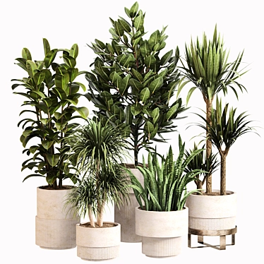 Modern Indoor Plant Set 033 3D model image 1 