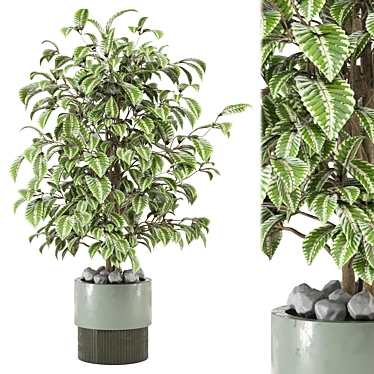  Modern Indoor Plants Set 3D model image 1 