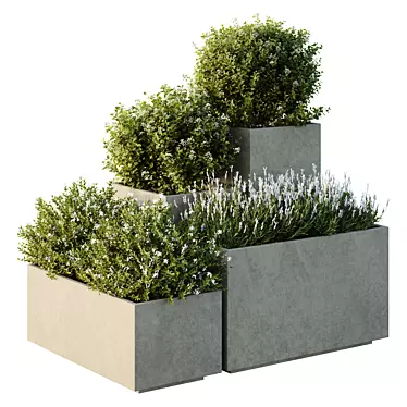 Garden Box Tree Bush Models 3D model image 1 