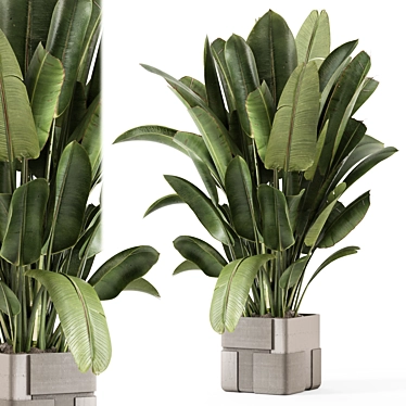 Handmade Stone Pot Indoor Plants 3D model image 1 