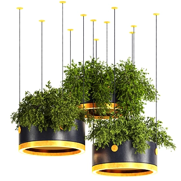 Premium Hanging Plants 3D Model 3D model image 1 