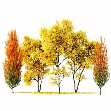 Autumn Maple Tree 3D Models 3D model image 1 