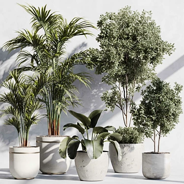 indoor plant set 87