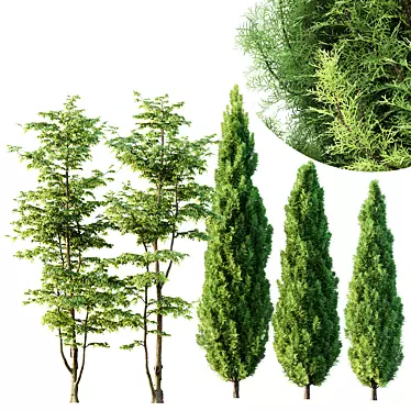 Versatile 3D Trees Pack 3D model image 1 