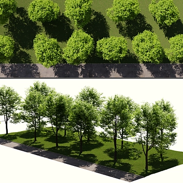 Urban Landscape Toolkit: Asphalt & Trees 3D model image 1 