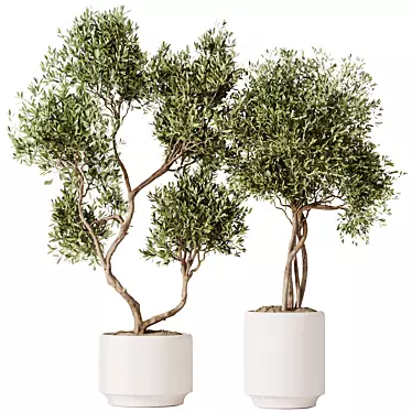 Majestic Artificial Olive Tree Set 3D model image 1 