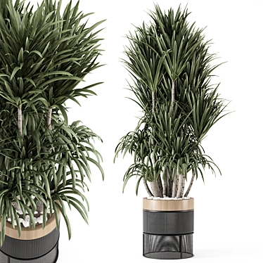 Modern Indoor Plants in Bau Pot 3D model image 1 