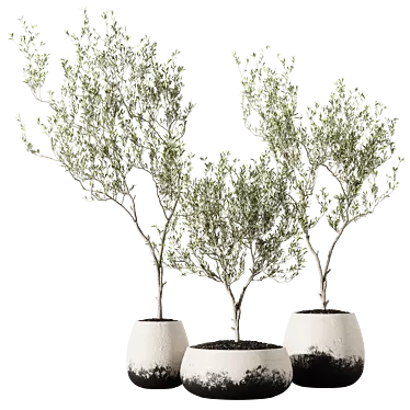 Metal Planter Set with Live Plants 3D model image 1 